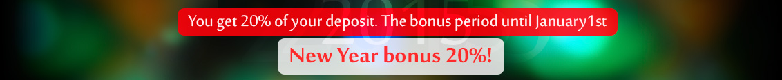 New Year Bonus