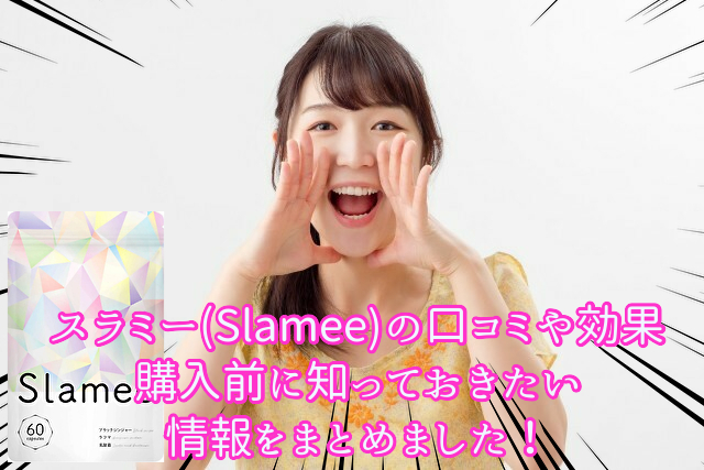 �X���~�[(Slamee)�̌��R�~�����