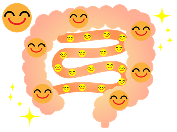 �̓�t���[��