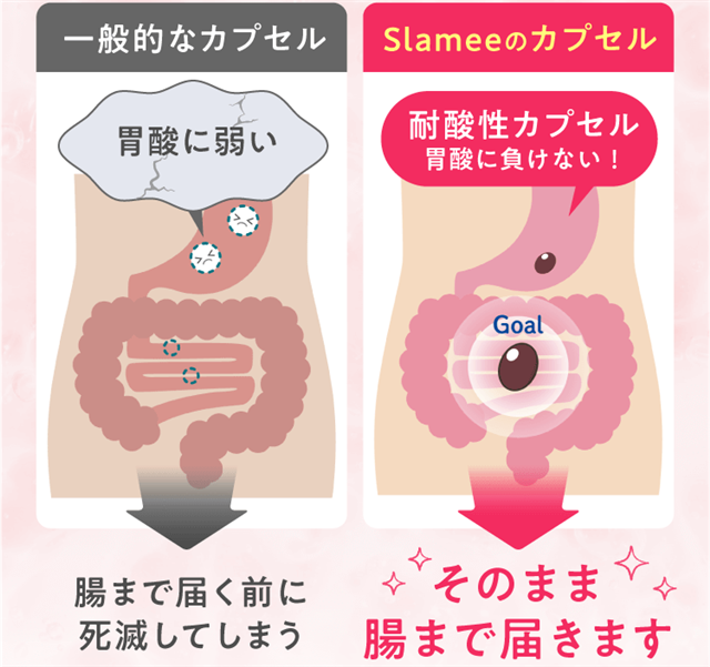 �X���~�[(Slamee)�ώ_���J�v�Z���ɂ���